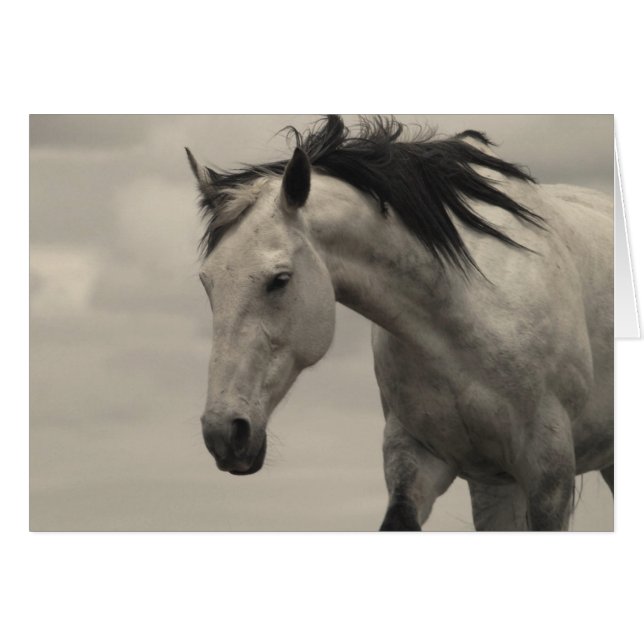 Gray Mare (Anverso (Horizontal))