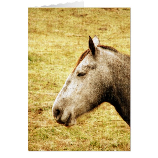 Gray Mare (Frente)