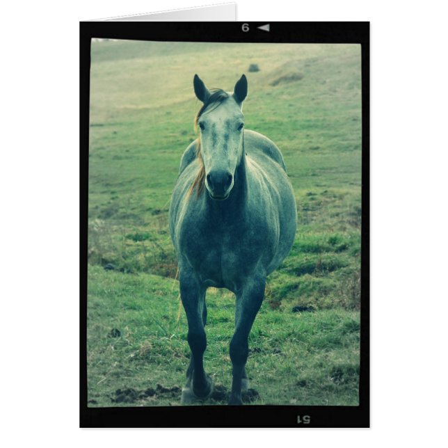 Gray Mare (Frente)