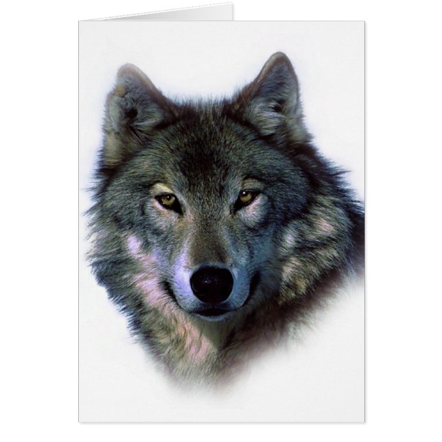 Gray Wolf Eyes (Frente)