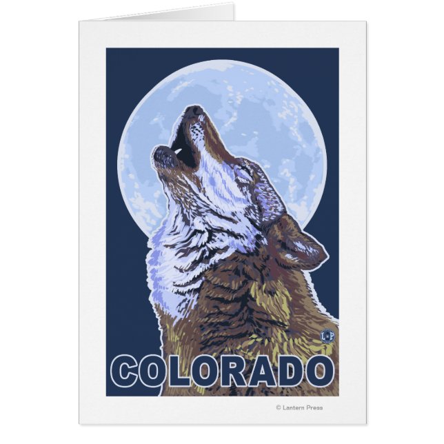 Gray Wolf HowlingColorado (Frente)