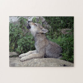 Gray Wolf Pup Wild Animal Puzzle