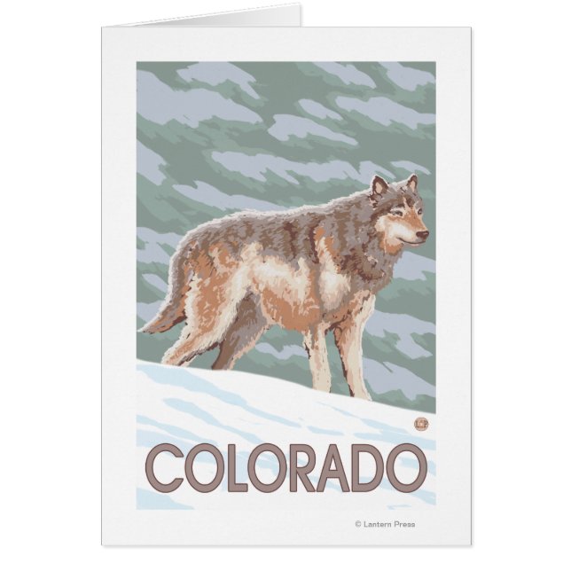 Gray Wolf StandingColorado (Frente)