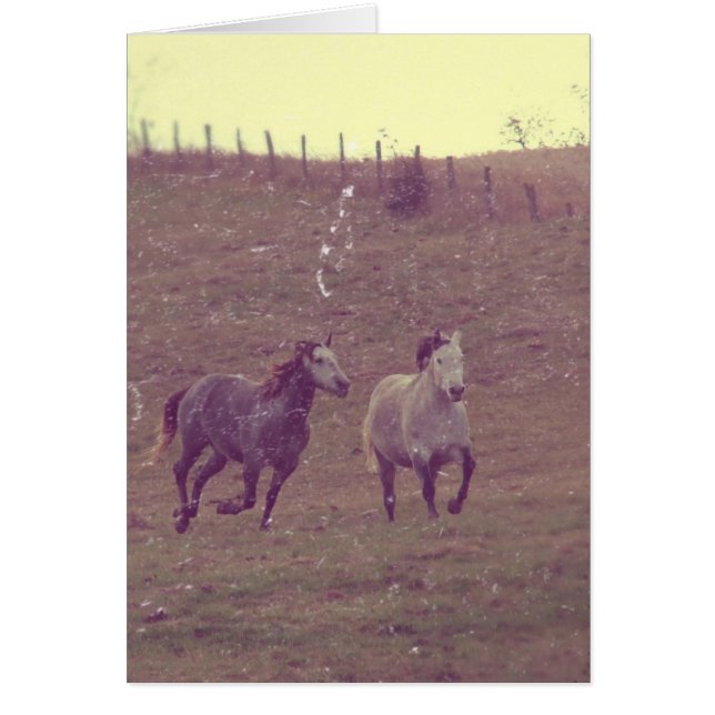 Grays Gallop Grunge (Frente)