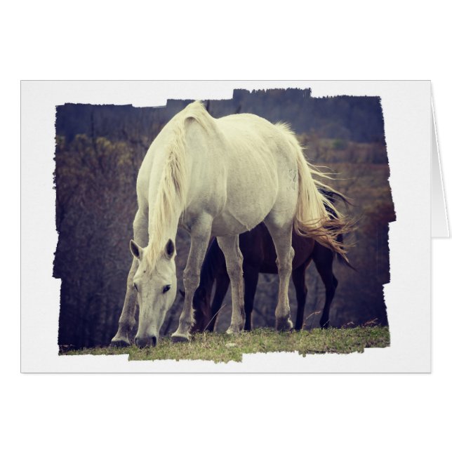 Graze (Anverso (Horizontal))