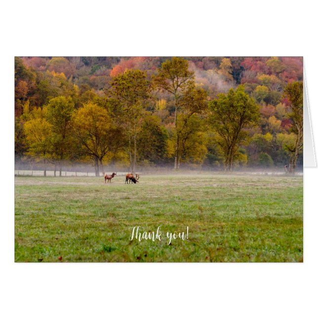Grazing Elk Couple (Pareja de Elk) (Anverso (Horizontal))