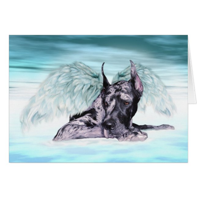 Great Dane Angel Merle (Anverso (Horizontal))
