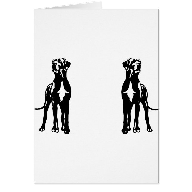 Great Dane Buddys (Frente)