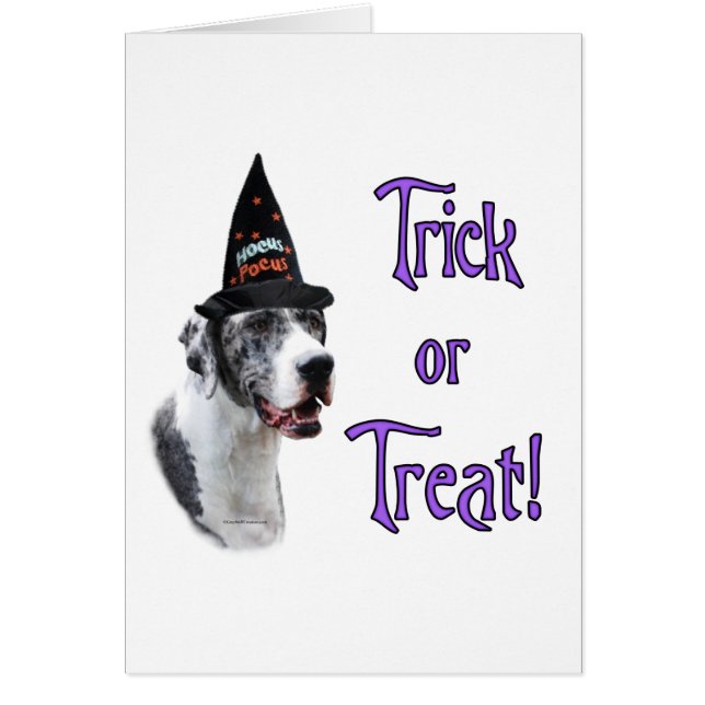 Great Dane (merle) Trick (Frente)