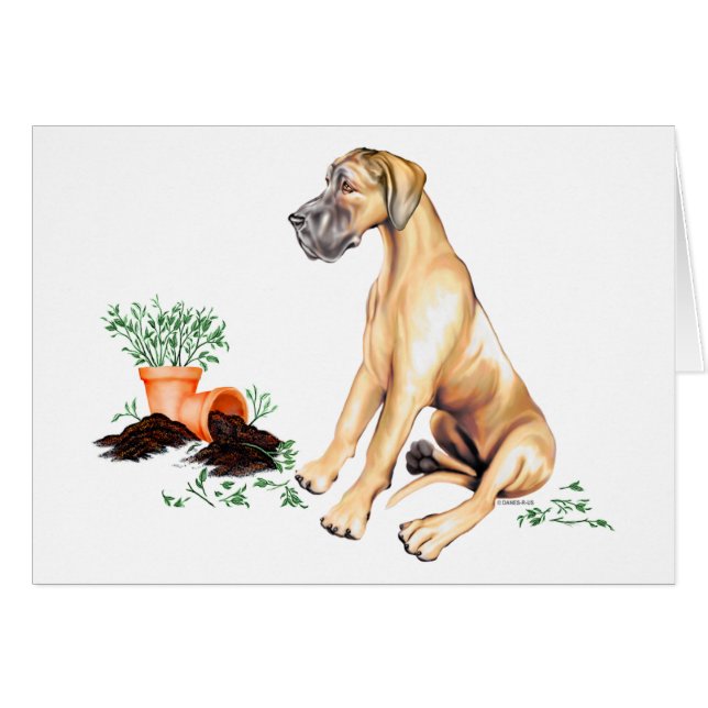 Great Dane Naughty Pup Fawn UC (Anverso (Horizontal))