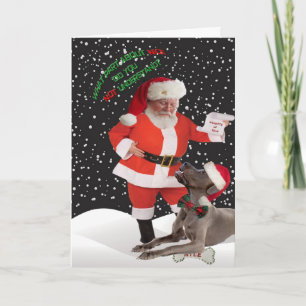 Great Dane No Entendió Las Tarjetas Bonitas