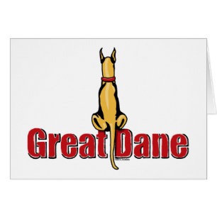 Great Dane Sit Fawn