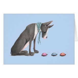 Great dane y mariquitas