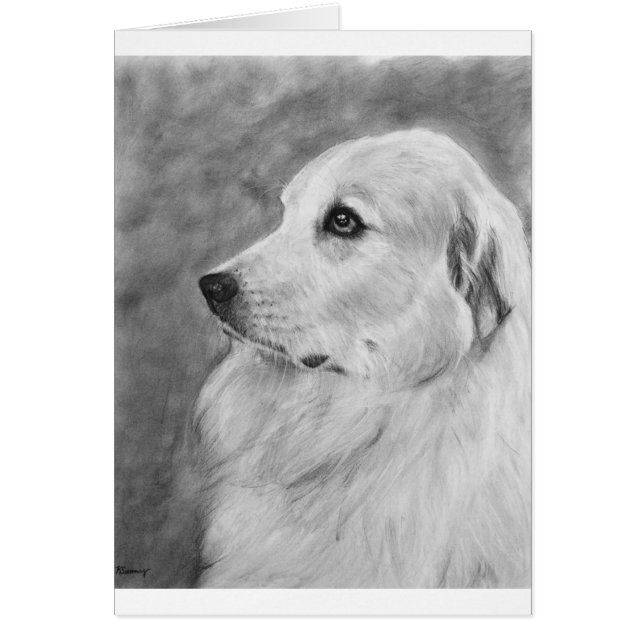 GreatPyreneese.jpg (Frente)