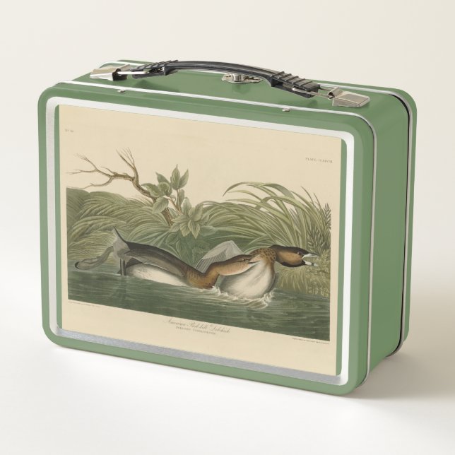 Grebe de moto intercalada de los pájaros de Améric (Reverso)