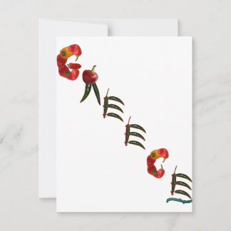 Grecia Chili Peppers