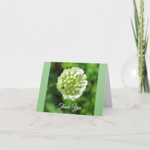 Green and White Clover - Tarjeta de agradecimiento