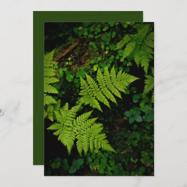 Green forest fern, Earth Day Card (Anverso / Reverso)