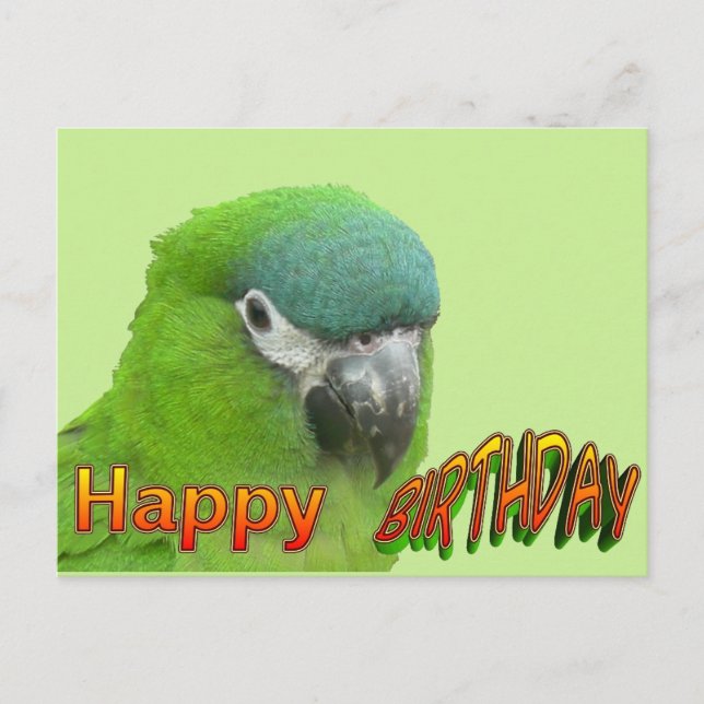 Green Lorikeet Happy Birthday Cust. Postal (Anverso)