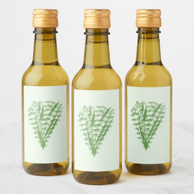 Green plant in the shape of a bouquet. (Botellas)