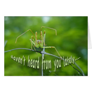 Green Reduviid no se ha enterado de tu tarjeta