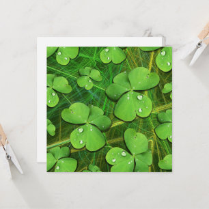 Green Shamrock St Patrick's iPhone 5 Funda-Mate