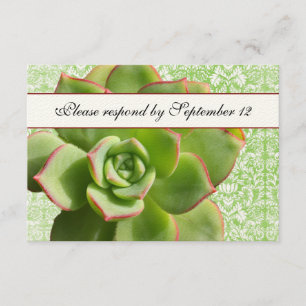 Green Succulage Damask Ivory rsvp