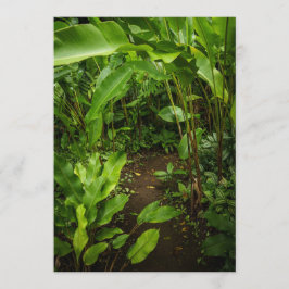 Green tropical garden, Earth Day Card