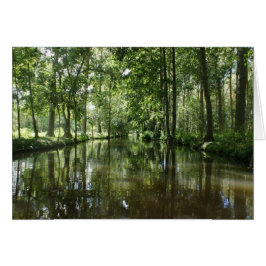 Green Venice Coulon France