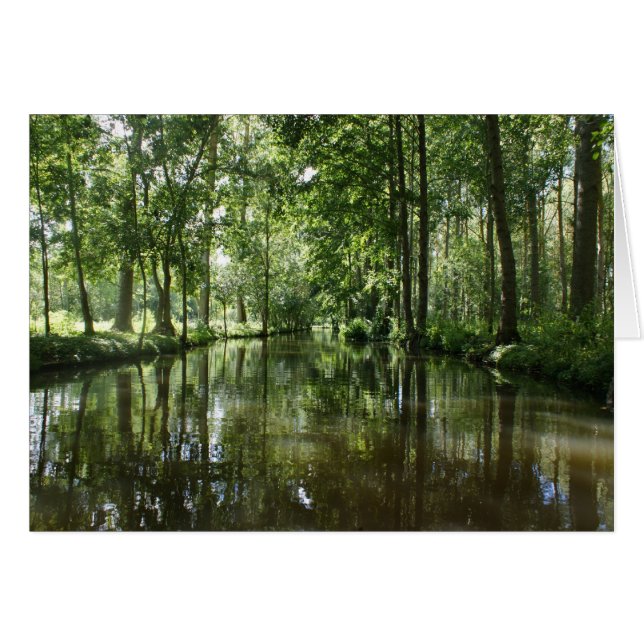 Green Venice Coulon France (Anverso (Horizontal))