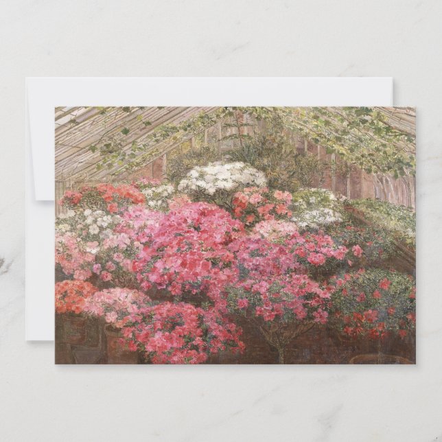 Greenhouse Azaleas | Marie Antoinette Marcotte (Anverso)