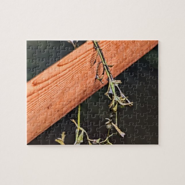 Greenland Paddle Puzzle (Horizontal)