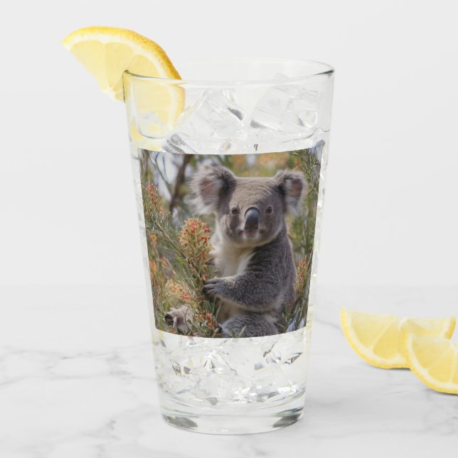 Grevillea Koala Bear, (Anverso (hielo))