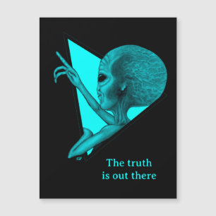 Grey Alien, la verdad está ahí fuera