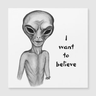 Grey Alien , quiero creer