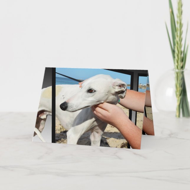 Greyhound 3D Efecto Tarjeta de felicitación de cum (Anverso)