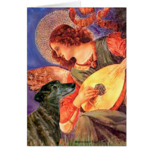 Greyhound (br2) - Ángel Mandolin