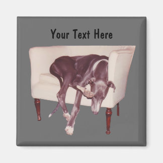 Greyhound Durmiendo En Una Silla Gracioso Imán