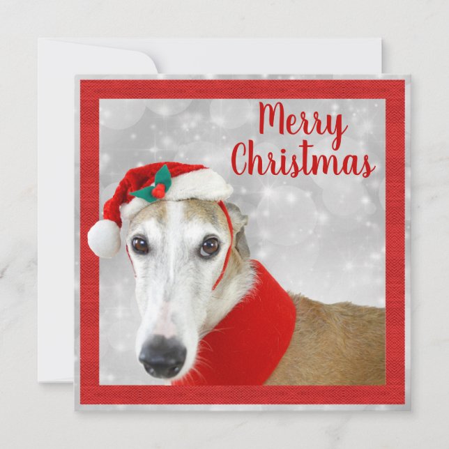 Greyhound Merry Christmas (Anverso)