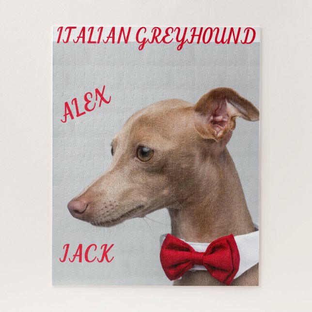 GREYHOUND PUZZLE ITALIANO Y NOMBRES PERSONALIZADOS (Vertical)