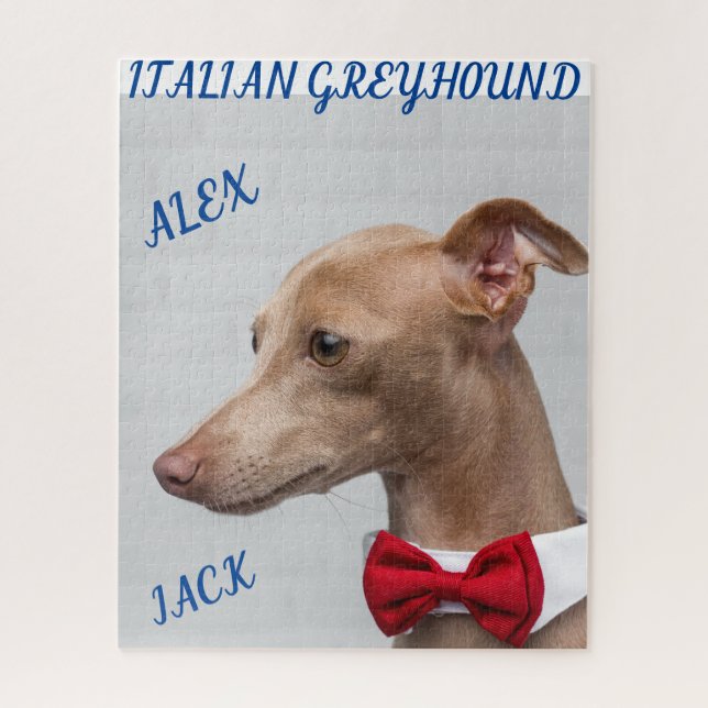 GREYHOUND PUZZLE ITALIANO Y NOMBRES PERSONALIZADOS (Vertical)