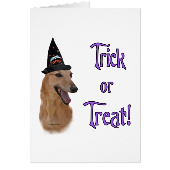 GreyhoundredTrick (Frente)