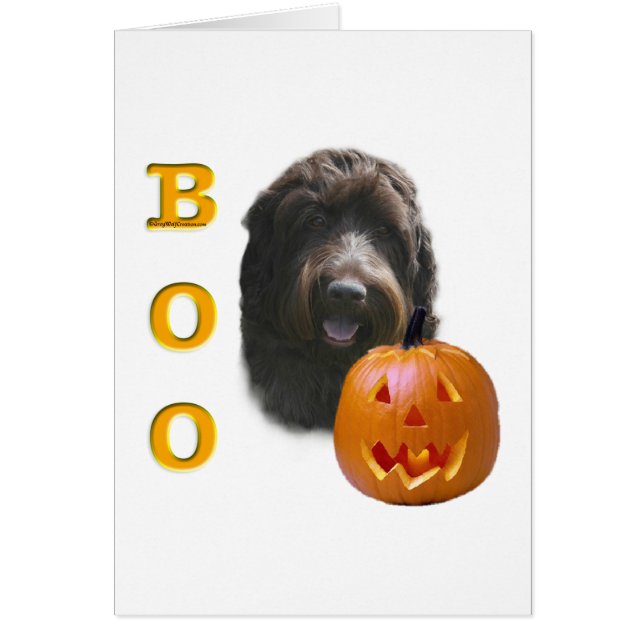 Griffon Boo con hilo y punta de alambre (Frente)