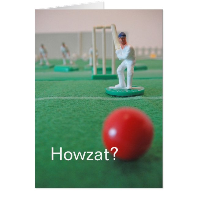 ¿Grillo 'Howzat? ' (Frente)