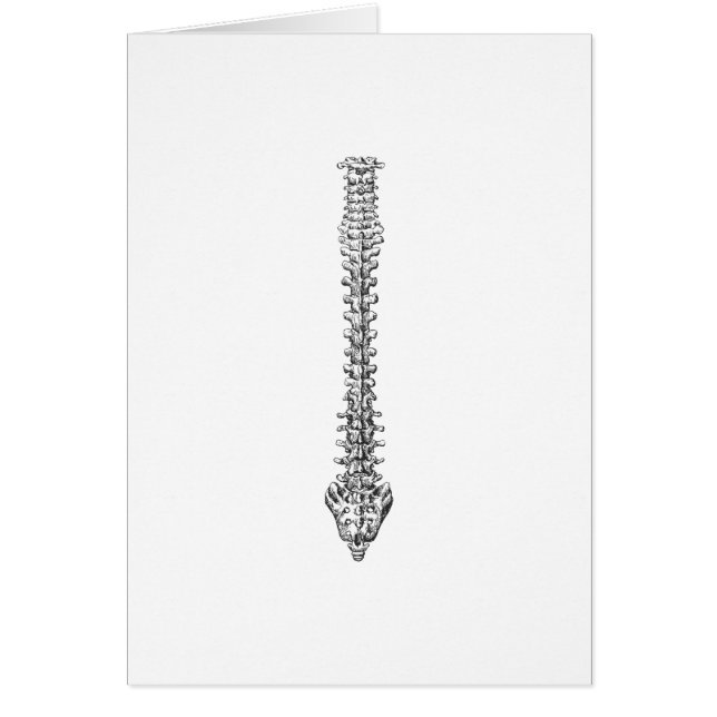 Gris de la espina dorsal (Frente)