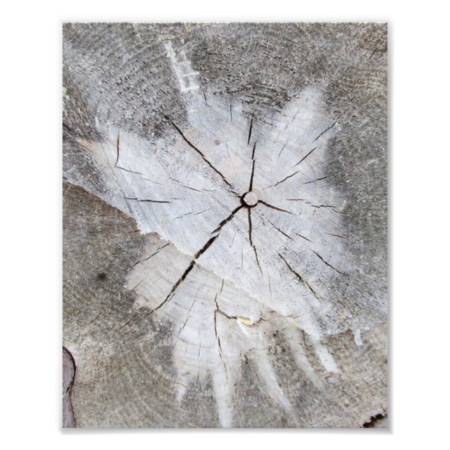 Gris De Madera Gris Pino Estropajo Foto Art 2 (Frente)