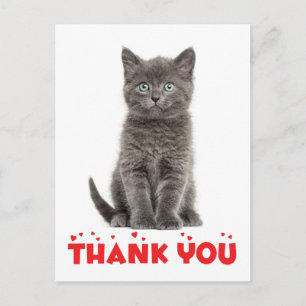 Gris lindo gatito gracias postal gato