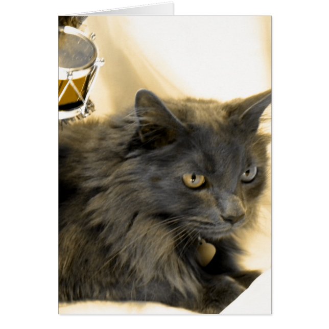 Gris Navidades Kitty IIII (Frente)