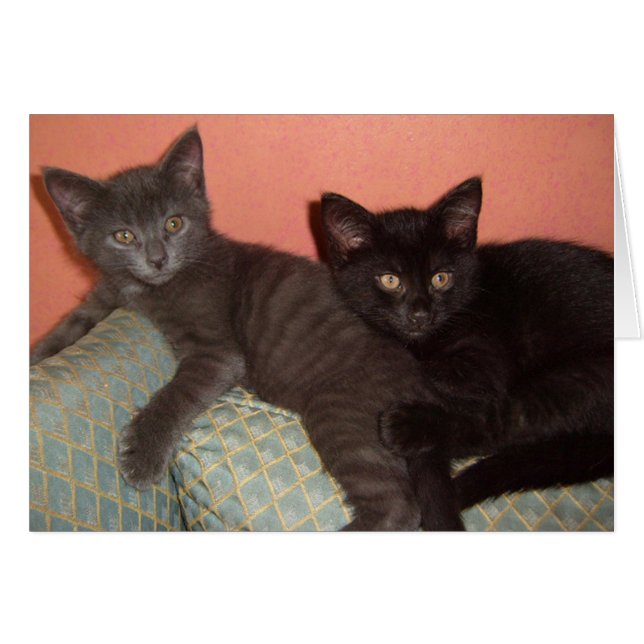 Gris pequeño y negro pequeño (Anverso (Horizontal))