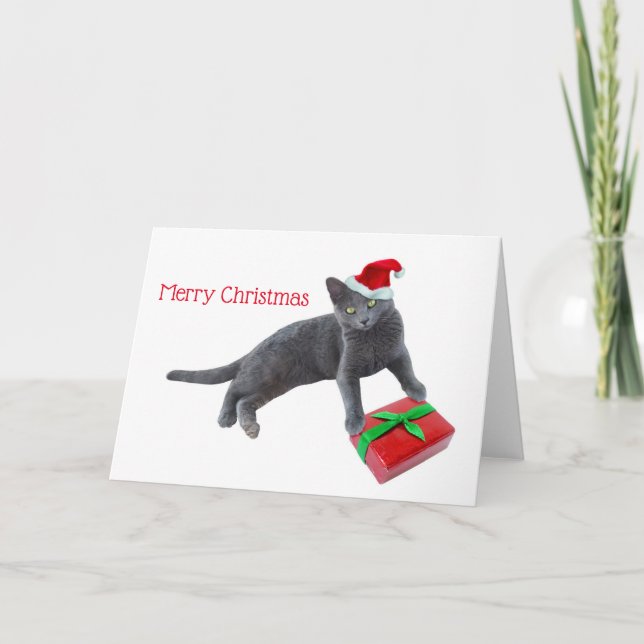 Gris Santa Cat con tarjeta de Navidades actuales (Anverso)